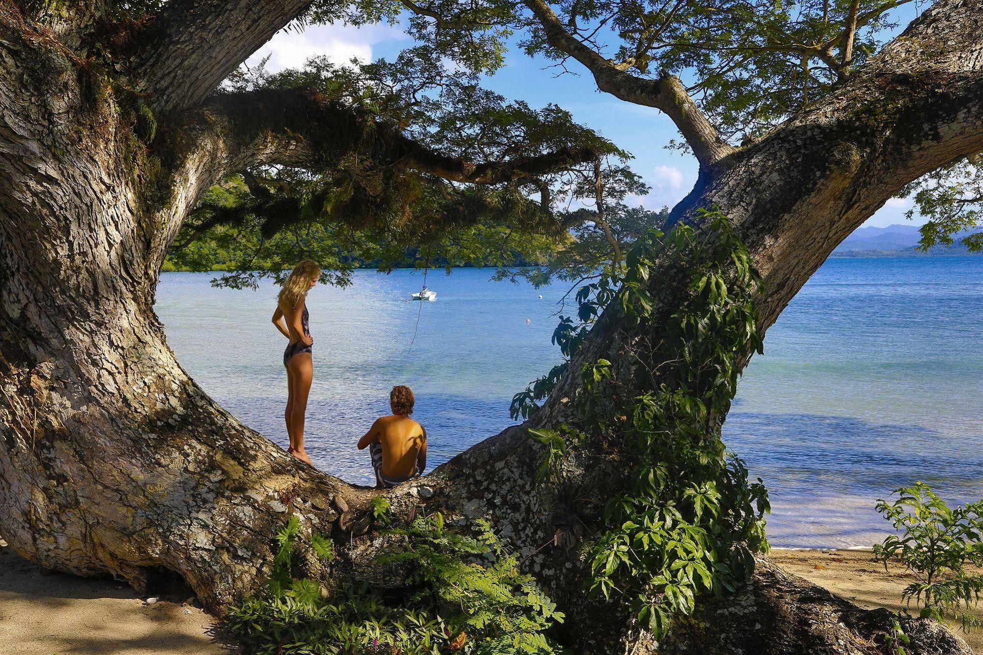 Sau Bay Resort - Off Taveuni Na Sau Bay Exteriér fotografie